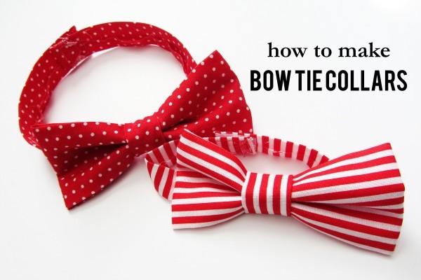 diy dog collar bow tie