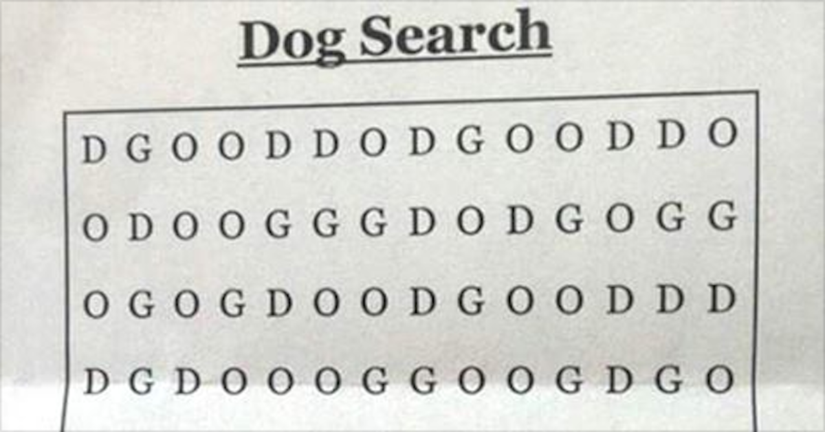 The World s Hardest Word Search This Little Brainteaser Is Giving A 