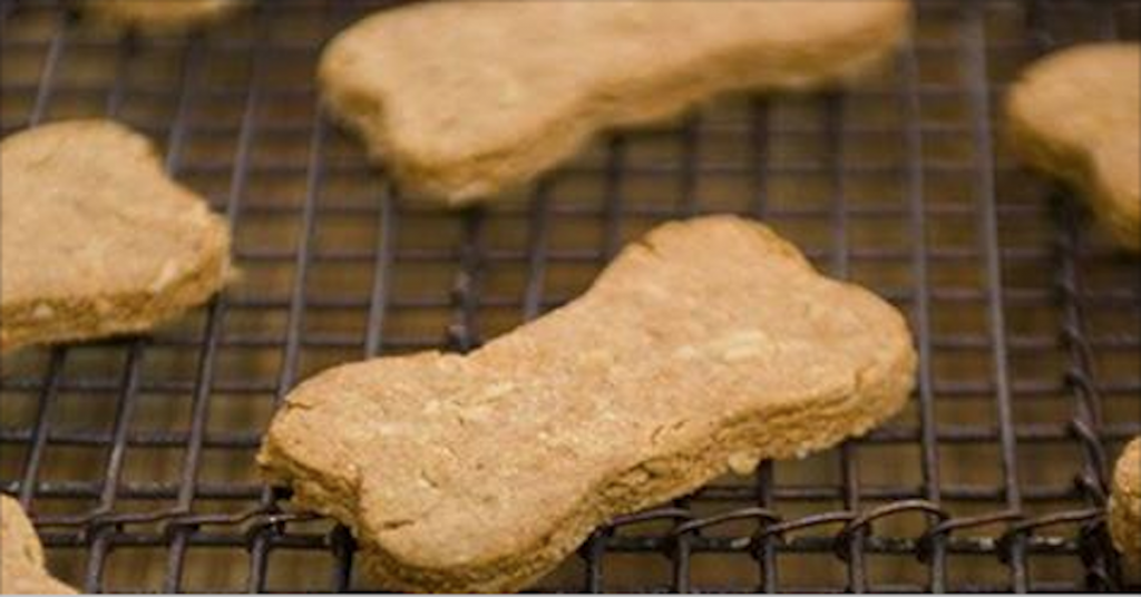 Stop buying dog food in stores. Here are 10 delicious treats you can make right at home