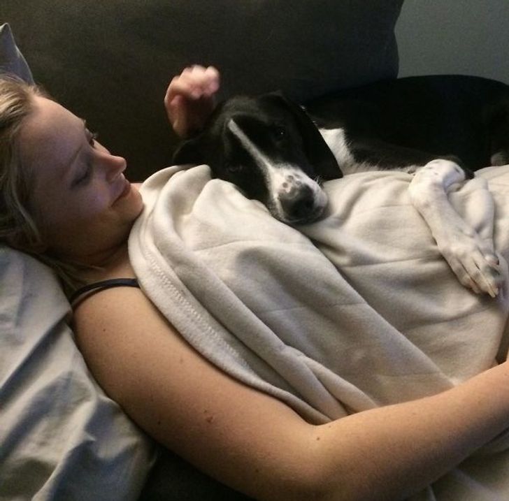 17 Photos Of Dogs Showing Unconditional Affection for People